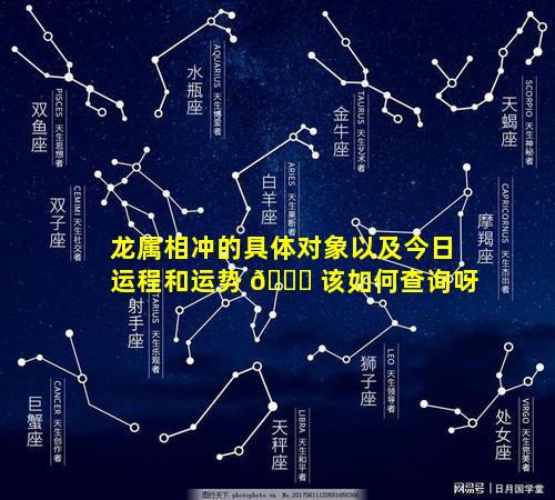 龙属相冲的具体对象以及今日运程和运势 🐋 该如何查询呀